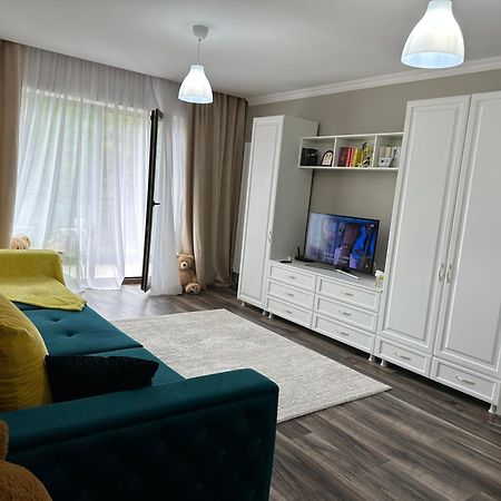 Silvelen Mountain View Apartment Brasov Luaran gambar