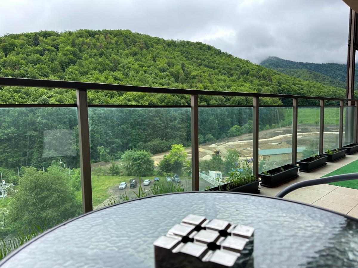 Silvelen Mountain View Apartment Brasov Luaran gambar